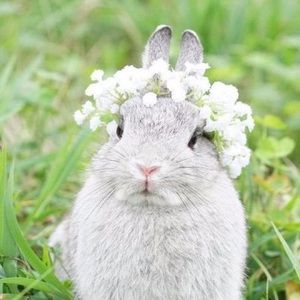 Meet your Posher, Erika